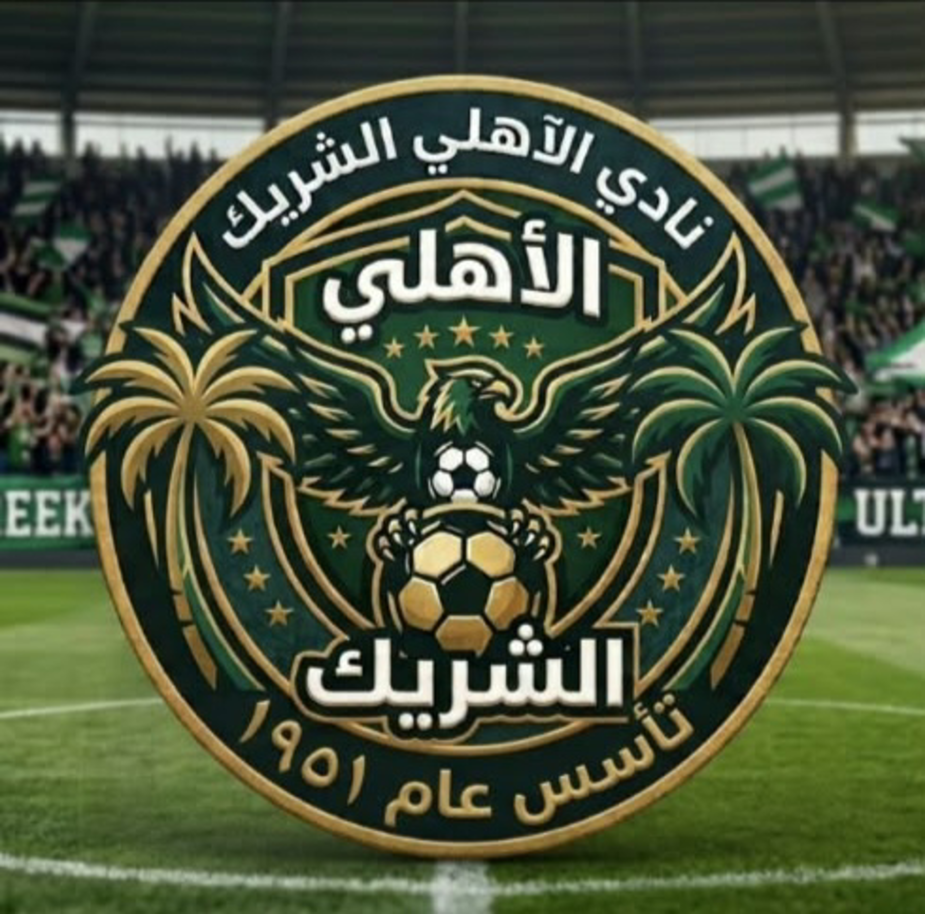 الأهلي الشريك أبو حمد